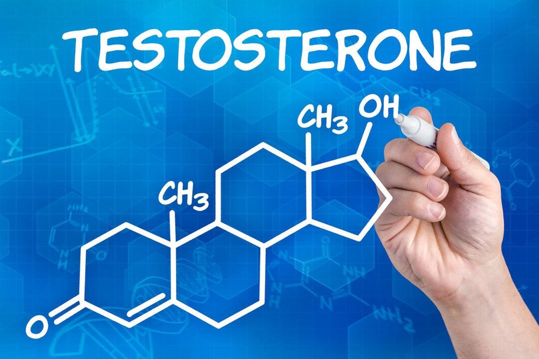 Testosterone and its effect on penis size at age 14