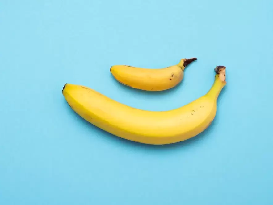 Small and enlarged penis pompously on the example of a banana